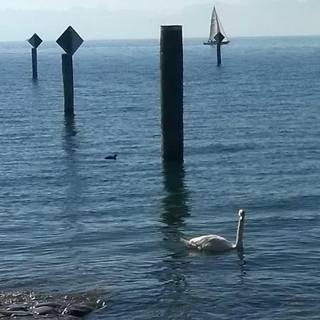 Διαμέρισμα Fewo Bodensee_sicht